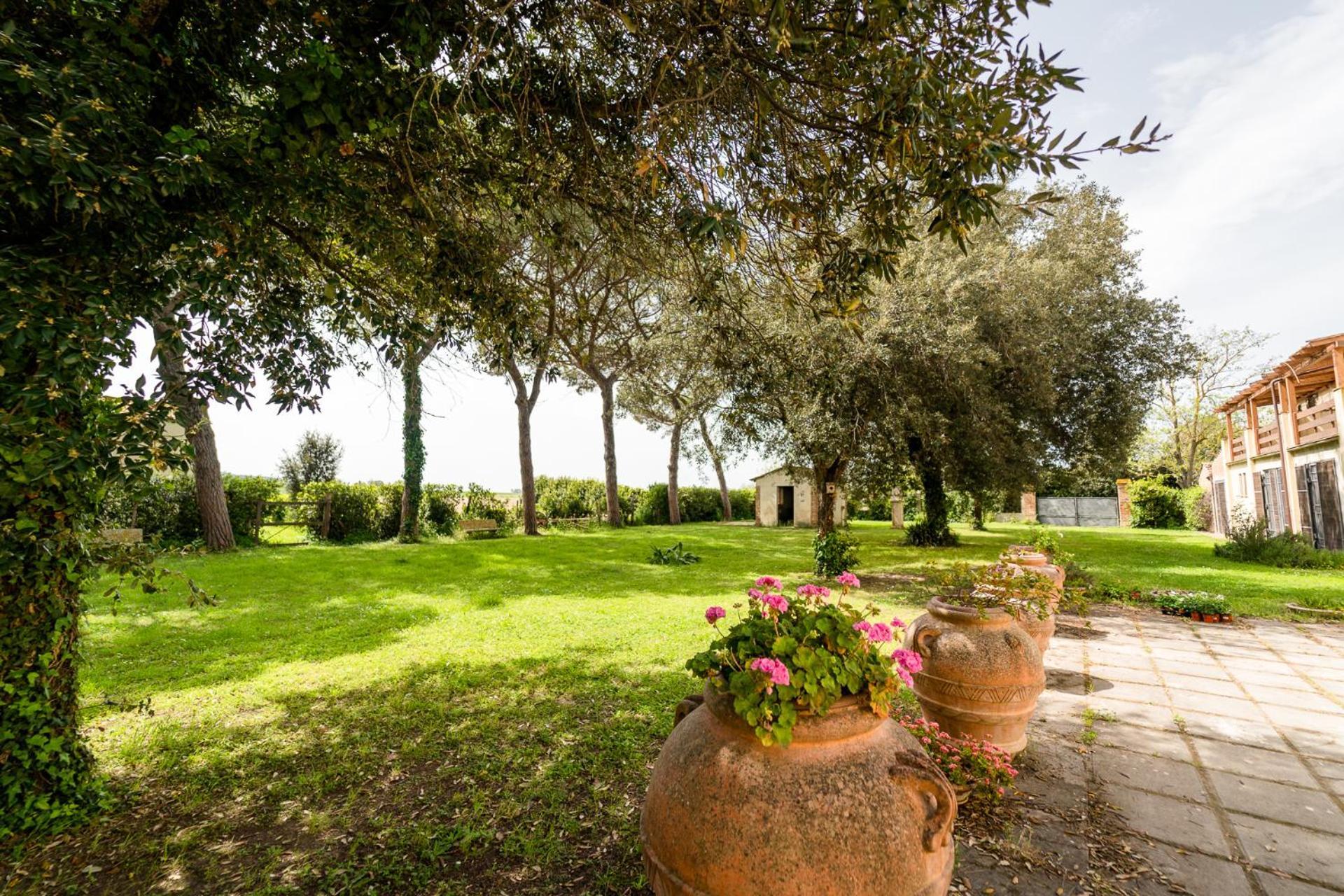 Agriturismo Bio San Mamiliano 格罗塞托 外观 照片