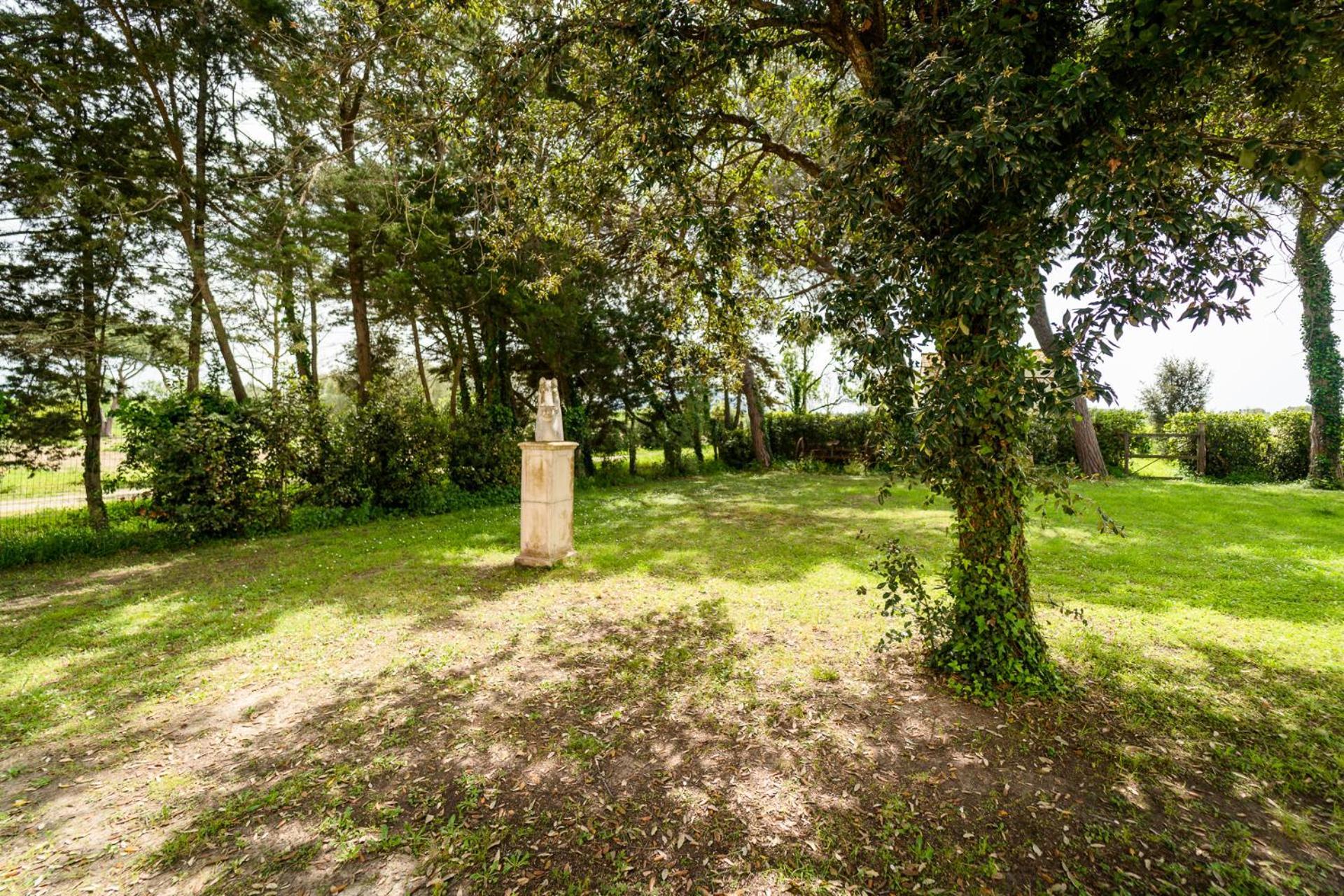 Agriturismo Bio San Mamiliano 格罗塞托 外观 照片