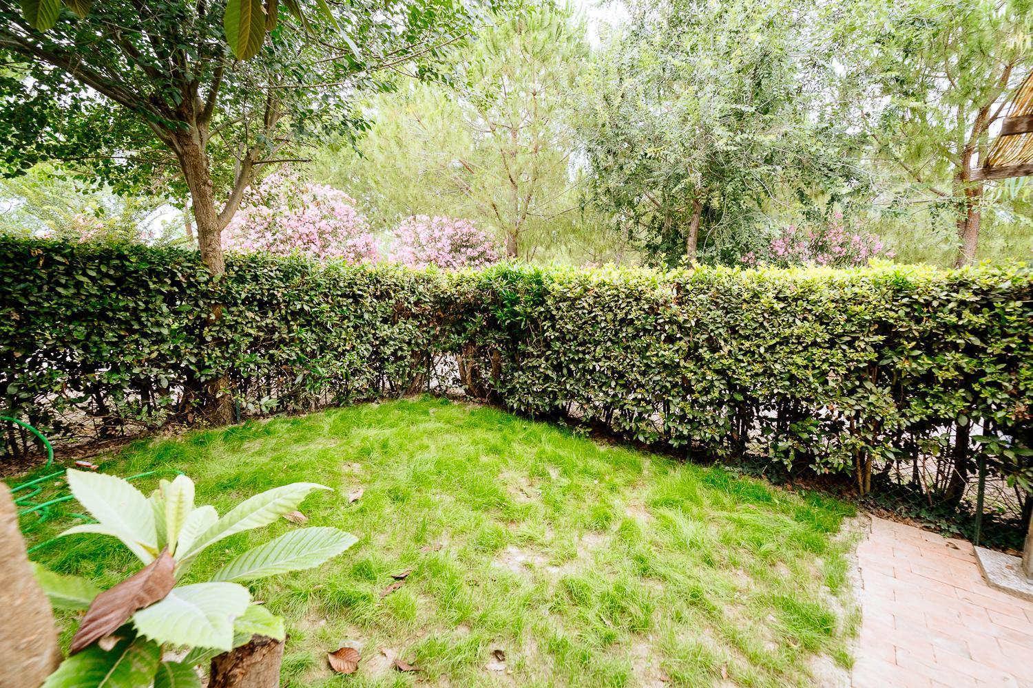 Agriturismo Bio San Mamiliano 格罗塞托 外观 照片